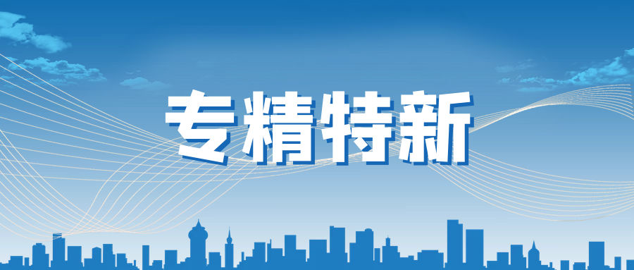 z6人生就是博化学旗下朴颐化学被评选为2021年度上海市“专精特新”企业