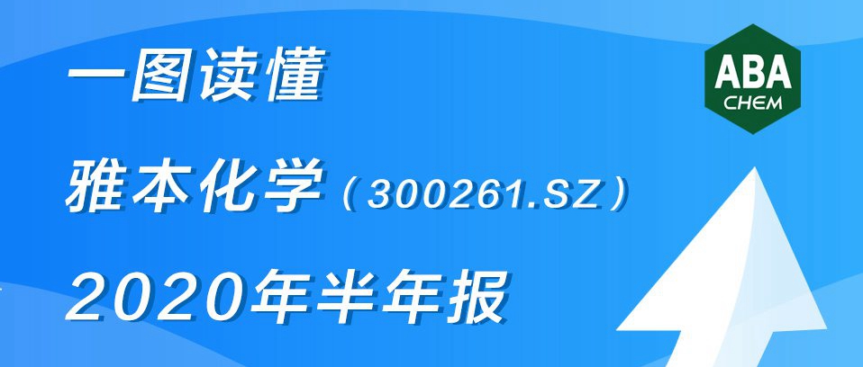 一图读懂z6人生就是博化学2020年半年报